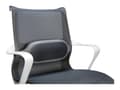 Miniatyrbild 3 av 5: Fellowes I-Spire Lumbar Cushion - Ryggstöd - grå