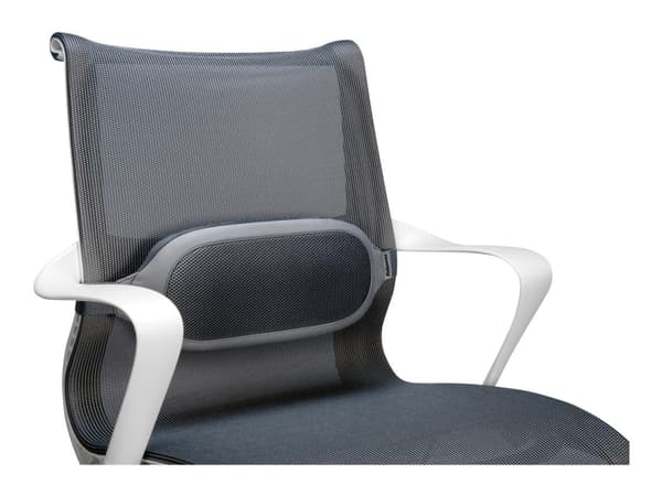 Fellowes I-Spire Lumbar Cushion - Ryggstöd - grå