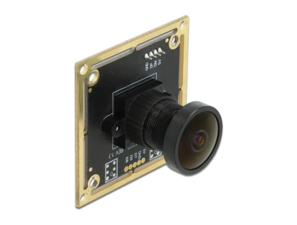 Delock USB 2.0 Camera Module with Wide Dynamic Range - Övervakningskamera - kort - färg - 1920 x 1080 - 1080p - fast lins - USB 2.0 - DC 5 V