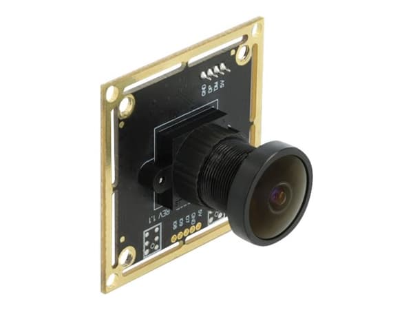 Delock USB 2.0 Camera Module with Wide Dynamic Range - Övervakningskamera - kort - färg - 1920 x 1080 - 1080p - fast lins - USB 2.0 - DC 5 V