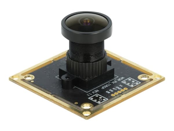 Delock USB 2.0 Camera Module with Wide Dynamic Range - Övervakningskamera - kort - färg - 1920 x 1080 - 1080p - fast lins - USB 2.0 - DC 5 V Svart