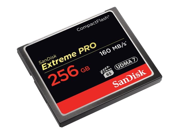 SanDisk Extreme Pro - Flash-minneskort - 256 GB - CompactFlash