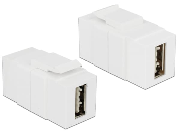 Delock Keystone module - USB-adapter - USB (hona) till USB (hona) - USB 2.0 - reversibel A-kontakt - vit