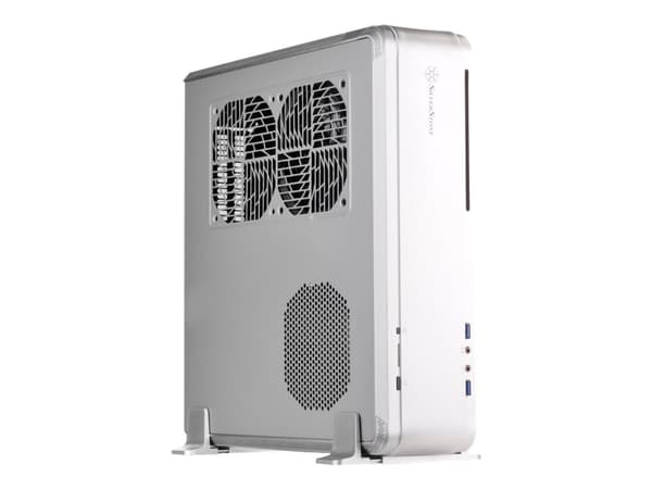 SilverStone Fortress FTZ01 - Tower - Mini-DTX - ingen strömförsörjning (SFX12V) - silver - USB/ljud