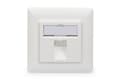 Miniatyrbilde 5 av 5: DIGITUS DN-93811 - Monteringsplate - hvit, RAL 9010 - 1 port