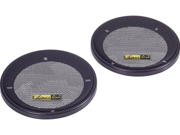 Speaker grille for 10 iL