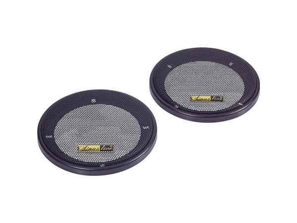 Speaker grille for 10 iL