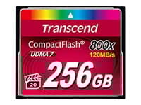 Transcend Premium - Flashminnekort - 256 GB - 800x - CompactFlash