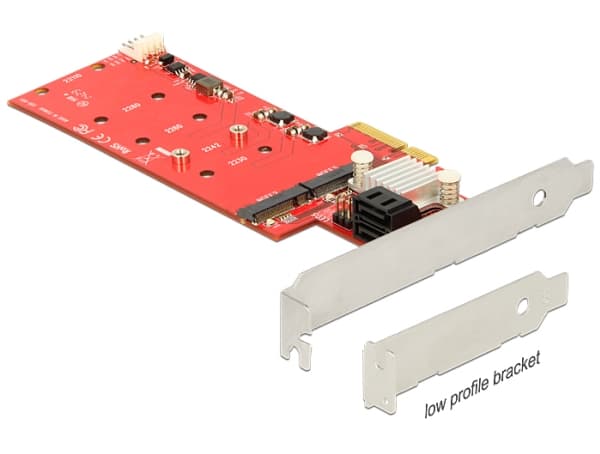 Delock - Kontrollerkort - M.2 Card - låg profil - RAID RAID 0, 1, 10 - PCIe 2.0 x4