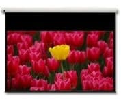 Optoma Panoview DE-9106EGA - Projeksjonsskjerm - veggmonterbar - motorisert - 106" (269 cm) - 16:9 - Matte White - for Optoma H117ST, H185X, H190X, H