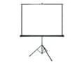 Miniatyrbild 1 av 3: Grandview Tripod Screen - Projektorduk