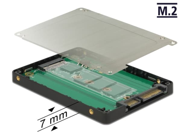 Delock Converter SATA 22 Pin to M.2 - Adapter för lagringsfack - 2.5" to M.2 - svart, silver