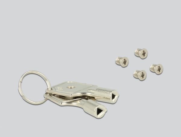 Delock - Lagerstasjonsbærer (caddy) - 2.5"