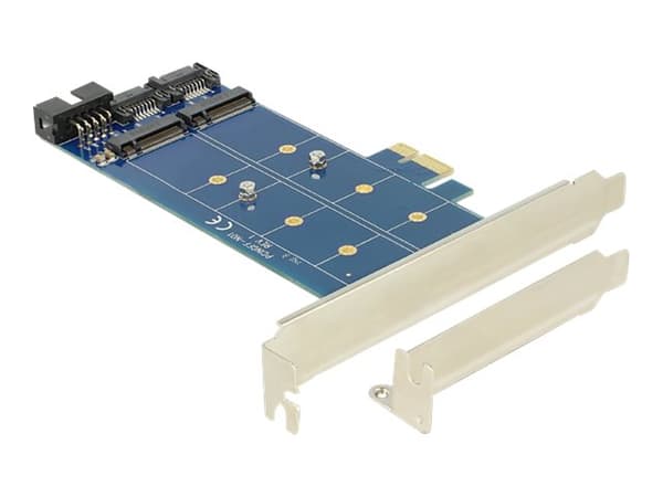 DeLOCK PCI Express Card > 2 x internal M.2 NGFF - Lagringskontrol - USB 2.0 / M.2 Card / SATA 6Gb/s lavprofil - 6 Gbit/s - PCIe x1 (M-key kompatibel)