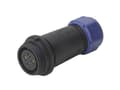 Miniatyrbilde 2 av 2: Weipu SP2111 / S 12 II Rundstik Tilslutning, lige Samlet poltal: 12 Serie (rundstikforbindelse): SP21 1 stk