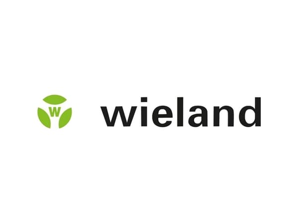 Wieland Electric 46.030.1253.1 Rundstik fordeler Samlet poltal: 2 + PE Serie (rundstikforbindelse): RST® MINI 1 stk