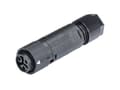 Miniatyrbilde 3 av 4: Wieland Electric 46.031.4553.1 Rundstik Kobling, lige Samlet poltal: 2 + PE Serie (rundstikforbindelse): RST® MINI 1 stk