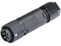 Miniatyrbilde 2 av 4: Wieland Electric 46.031.4553.1 Rundstik Kobling, lige Samlet poltal: 2 + PE Serie (rundstikforbindelse): RST® MINI 1 stk