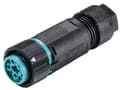 Pikkukuva 2 / 4: Wieland Electric 46.051.4553.6 Pyöreä liitin Kytkentä, suora Napojen kokonaismäärä: 4 + PE Sarja (pyöreä liitin): RST® MINI 1 kpl