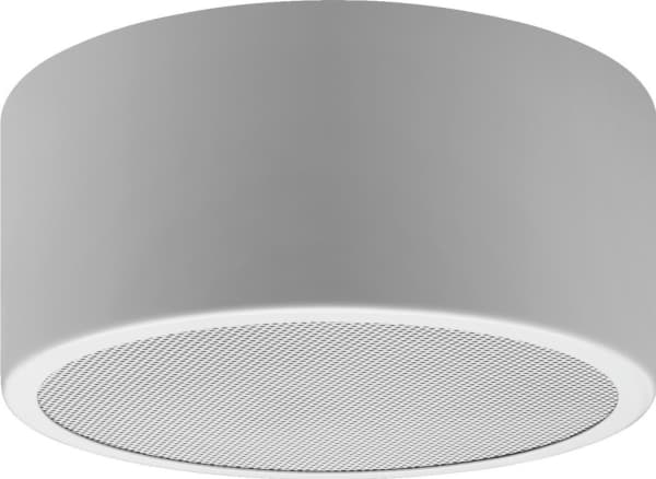 ESP-1000AB PA A/B wall speakers