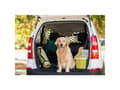 Miniatyrbild 2 av 3: HP Car Accessories 19980 Pakke- og bagagerumsnet Passer til (bilmodel) Universal (L x B) 130 cm x 87 cm Sortera