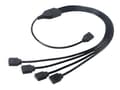 Miniatyrbilde 1 av 5: Akasa AK-CBLD04-50BK - RGB LED splitter - 4-pinners adresserbar RGB LED-kontakt (hun) til 4-pinners adresserbar RGB LED-kontakt (hann) - 50 cm