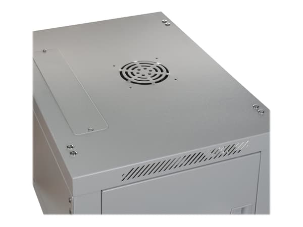 DIGITUS Professional DN-WU19 09U/600 - Skåp - väggmontering - grå, RAL 7035 - 9U - 19"