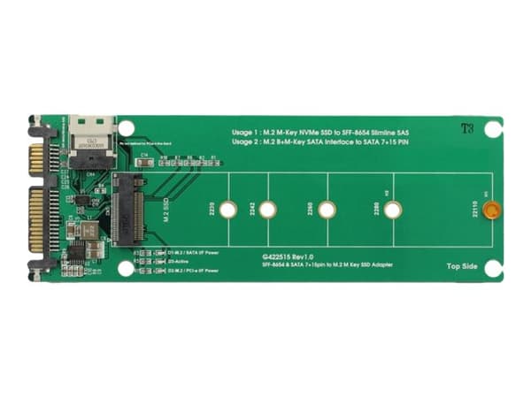 Delock U.2 SFF-8654 or SATA Converter to 1 x M.2 Key M slot - Diskkontroller - M.2 - M.2 NVMe Card / SATA 6Gb/s - PCIe, SATA 6Gb/s