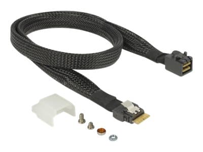 Delock U.2 SFF-8654 or SATA Converter to 1 x M.2 Key M slot - Diskkontroller - M.2 - M.2 NVMe Card / SATA 6Gb/s - PCIe, SATA 6Gb/s