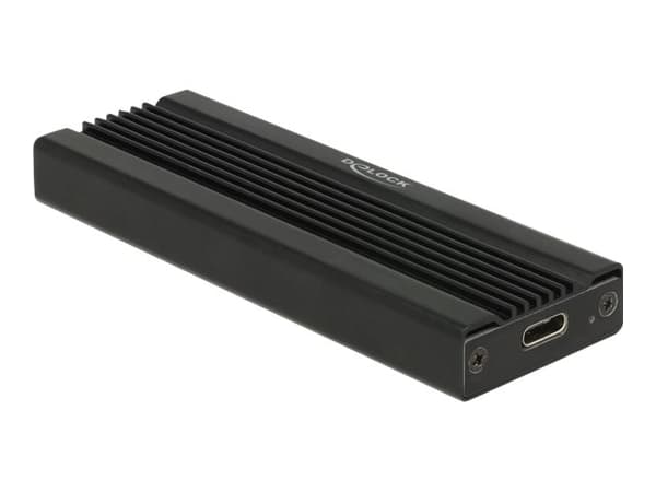 Delock - Lagringspakning - M.2 Kort - USB 3.1 (Gen 2) - sort