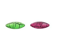 Hansen SD SnapShot 4.4cm 7.6g UV Pink/Green Crackling