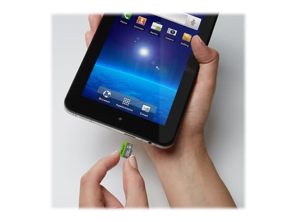 PNY Elite - Flashminnekort - 256 GB - A1 / Video Class V10 / UHS Class 1 / Class10 - microSDXC UHS-I