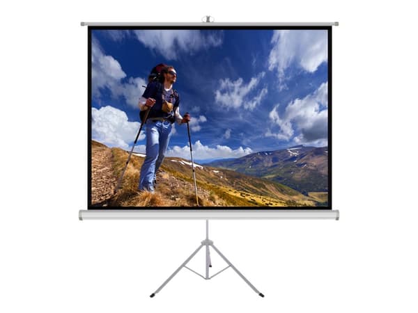 ART TS-70 - Projeksjonsskjerm - står på gulv - 98" (249 cm) - 1:1 - Matte White