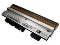 Zebra - 300 dpi - skriverhode - for GX Series GX430t