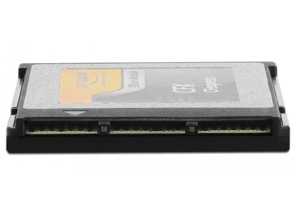 Delock - Flash-minneskort - 64 GB - CFexpress