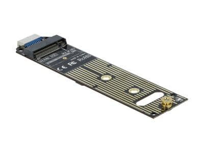 DeLOCK - Lagringskontroll - M.2 - M.2 NVMe-kort - 10 Gbit/s - USB 3.1 (Gen 2)