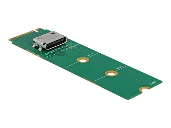 DeLOCK M.2 Key M til 1 x OCuLink SFF-8612-konverter - Grensesnittadapter - M.2-kort