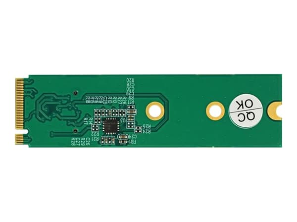 DeLOCK M.2 Key M til 1 x OCuLink SFF-8612-konverter - Grensesnittadapter - M.2-kort