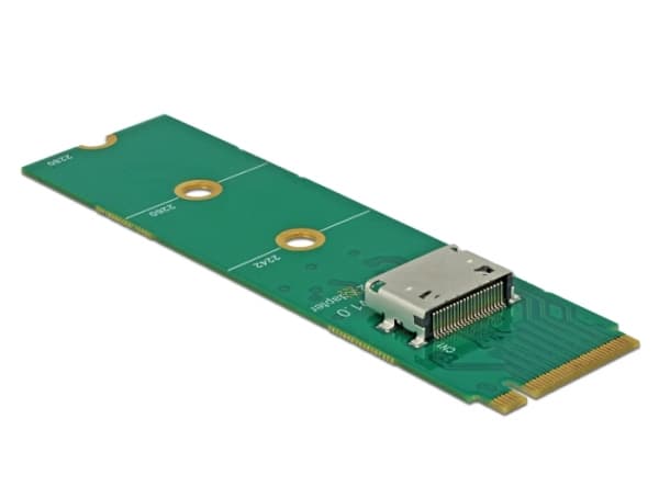 DeLOCK M.2 Key M til 1 x OCuLink SFF-8612-konverter - Grensesnittadapter - M.2-kort