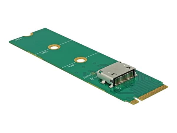 DeLOCK M.2 Key M til 1 x OCuLink SFF-8612-konverter - Grensesnittadapter - M.2-kort