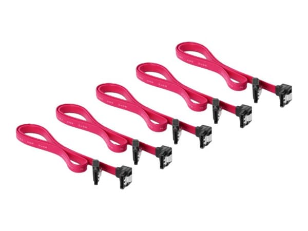 Delock PCI Express Card x4 > 5 x internal SATA 6 Gb/s - Kontrollerkort - SATA 6Gb/s - låg profil - PCIe 3.0 x4