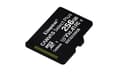 Miniatyrbild 3 av 5: Kingston Canvas Select Plus - Flash-minneskort (microSDXC till SD-adapter inkluderad) - 256 GB - A1 / Video Class V30 / UHS Class 3 / Class10 - mikro