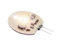 Miniatyrbilde 2 av 2: ProCar Reservepære 57429061 57429060 LED G4 LED (RGB) 12 V, 24 V (Ø x H) 30 mm x 4 mm