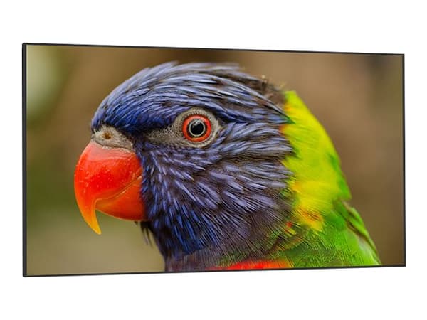 DynaScan DS752LR4 - 75" Diagonalklasse LED-bakgrunnsbelyst LCD-skjerm - 4K UHD (2160p) 3840 x 2160 - svart