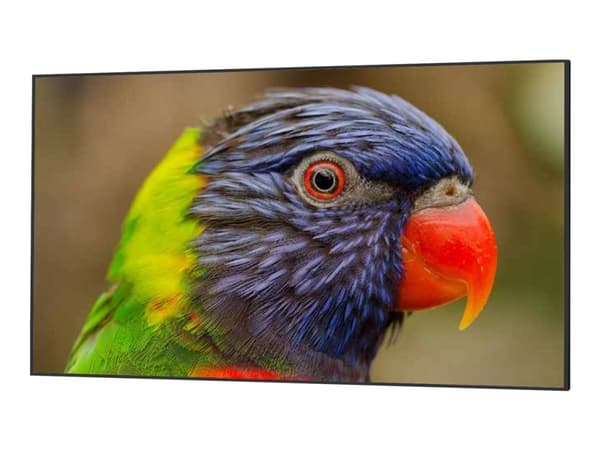 DynaScan DS752LR4 - 75" Diagonalklasse LED-bakgrunnsbelyst LCD-skjerm - 4K UHD (2160p) 3840 x 2160 - svart