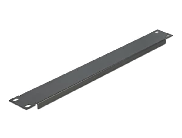 Delock Network Cabinet Blind Cover - Blindpanel till rack - svart - 1U - 19"