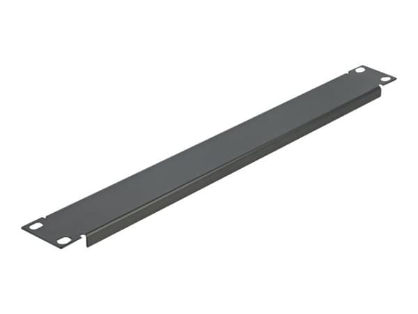 Delock Network Cabinet Blind Cover - Blindpanel till rack - svart - 1U - 19"