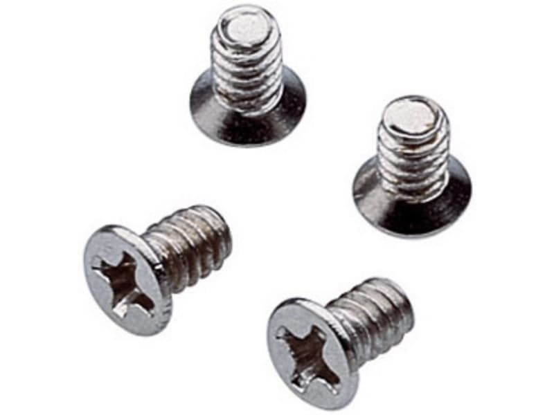 Renkforce RF-4453470, Skruv, Silver, 10 styck