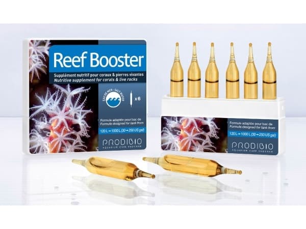 Prodibio Reef Booster 6 hetteglass