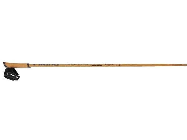 Kije Viking EXPEDITION CARBO beige 120